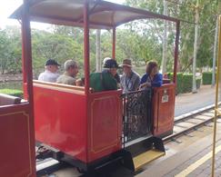 Unscheduled train ride in Bundaberg Botanica lGardens